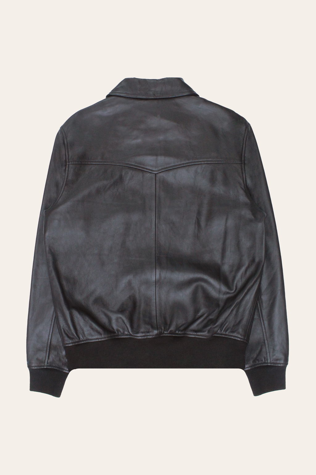 Dusty Trucker Jacket